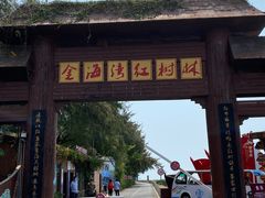 -北海金海湾红树林生态旅游区