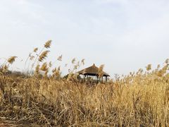 -梁鸿国家湿地公园