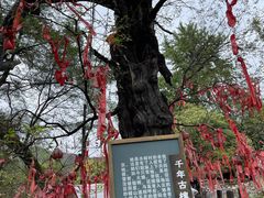 -水峪民俗村