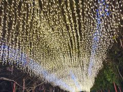 -河北村民俗体验园