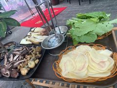 -蘑统田下·野生菌火锅