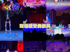 -珠海横琴长隆《卡卡虎奇遇记》