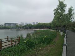-尚贤河湿地