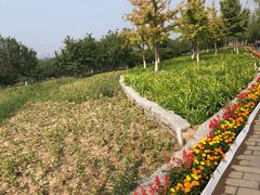 -永定河休闲森林公园