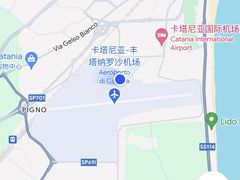 -卡塔尼亚-丰塔纳罗沙机场