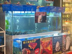 -台山侨雅海鲜粥底火锅(台山侨雅花苑店)