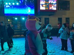 -采薇庄园四季滑雪场