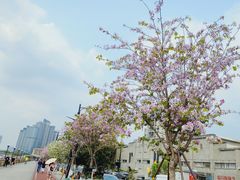-洲头咀公园
