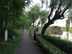 -上海市保健医疗中心(华东疗养院)