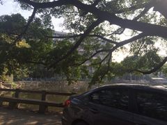 iphone_upload_pic-黄埔古港