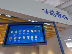 -春丽小马(济南恒隆广场店)