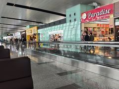 -河内内排国际机场