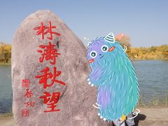 -金塔沙漠胡杨林景区