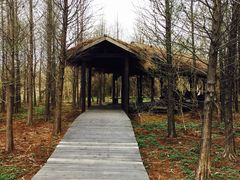 -溱湖国家湿地公园