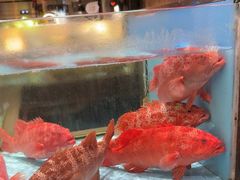 -阿伟海鲜楼·福建菜(延寿店)