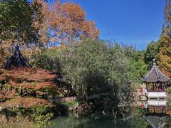 -上海醉白池公园