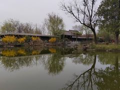 -青州古城
