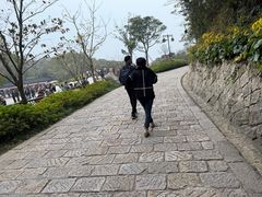 -普陀山慧济禅寺