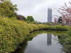 -成都南湖公园