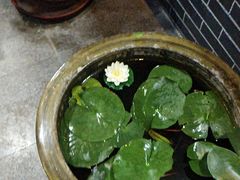 -微山岛春天里酒家