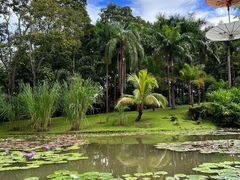 -中国科学院西双版纳热带植物园