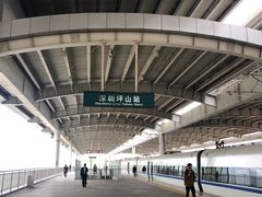 -深圳坪山站