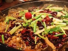 -老板恋上鱼(荣盛广场店)