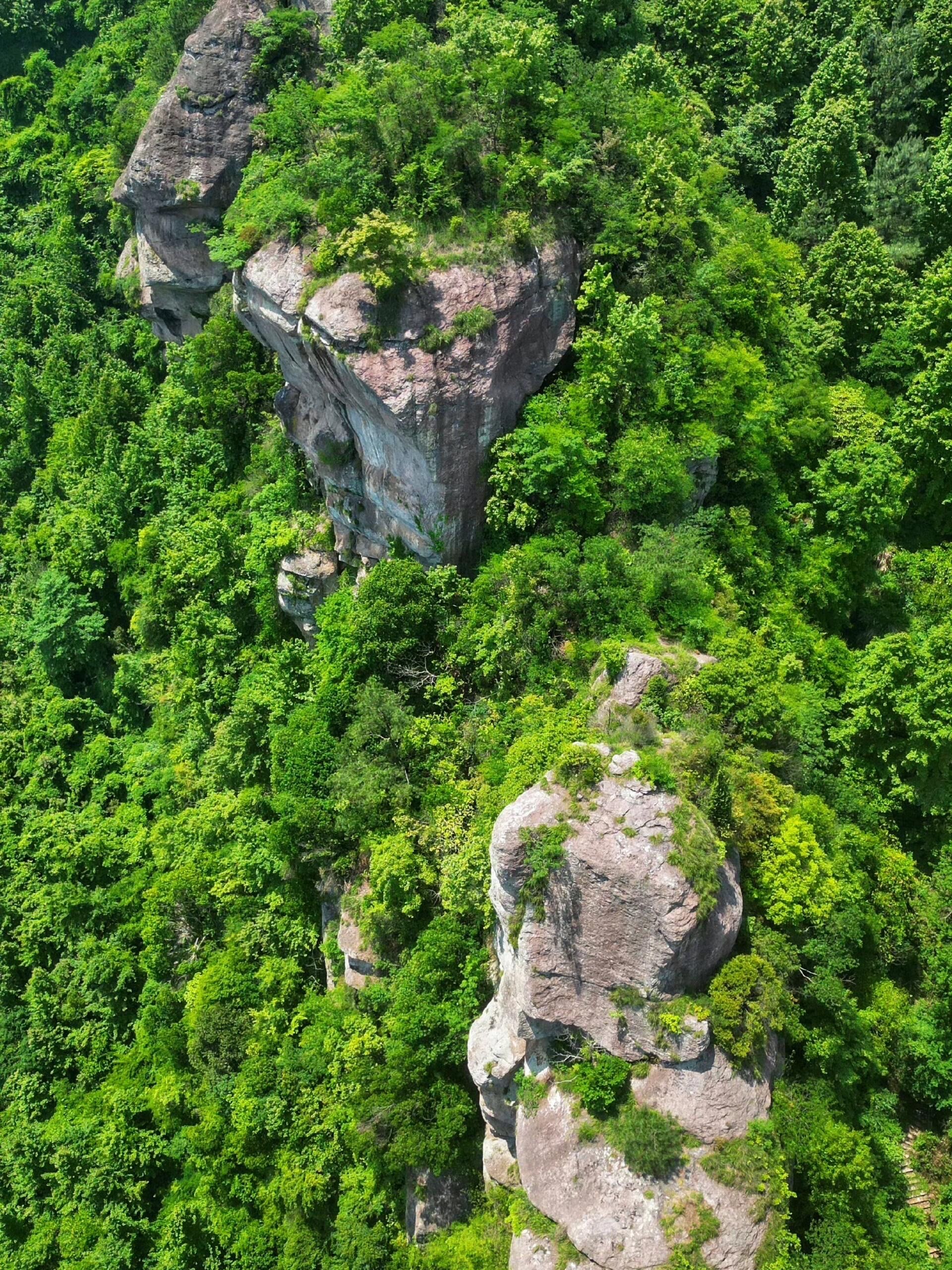 避暑清凉之旅 | 新昌韩妃江古道