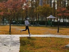 -尚贤河湿地