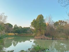 -西溪国家湿地公园