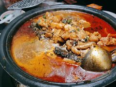 -探鱼·鲜青椒爽麻烤鱼(领展购物广场店)
