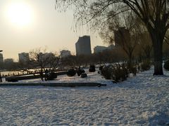 -莲花池公园