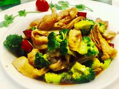 深海鱼肚-威海会馆海鲜餐厅