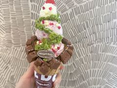 -哈根达斯(西安高新店)