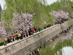 -元大都城垣遗址公园