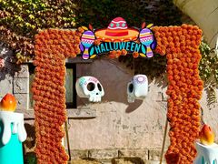 -大连海昌发现王国主题公园