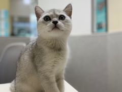 -谐和贝康宠物医院24小时·宠保定点(急重症转诊中心)
