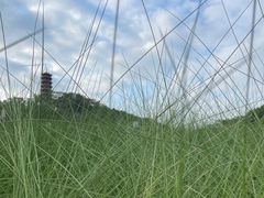 -红花山公园