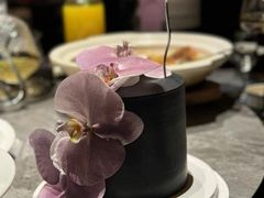 -Dark Horse·黑马蛋糕·低脂·低糖淡奶(金匙望湖大厦店)