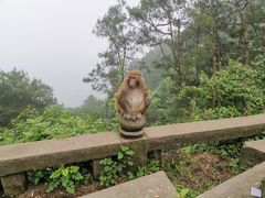-重庆雨台山风景区