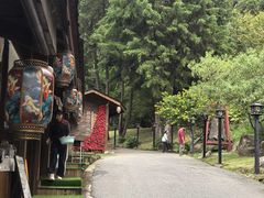 -苍山世界地质公园·石门关大峡谷