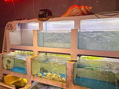 -质烤烤物·活烤海鲜(质烤总店)