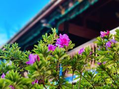 -昆明市金殿名胜区