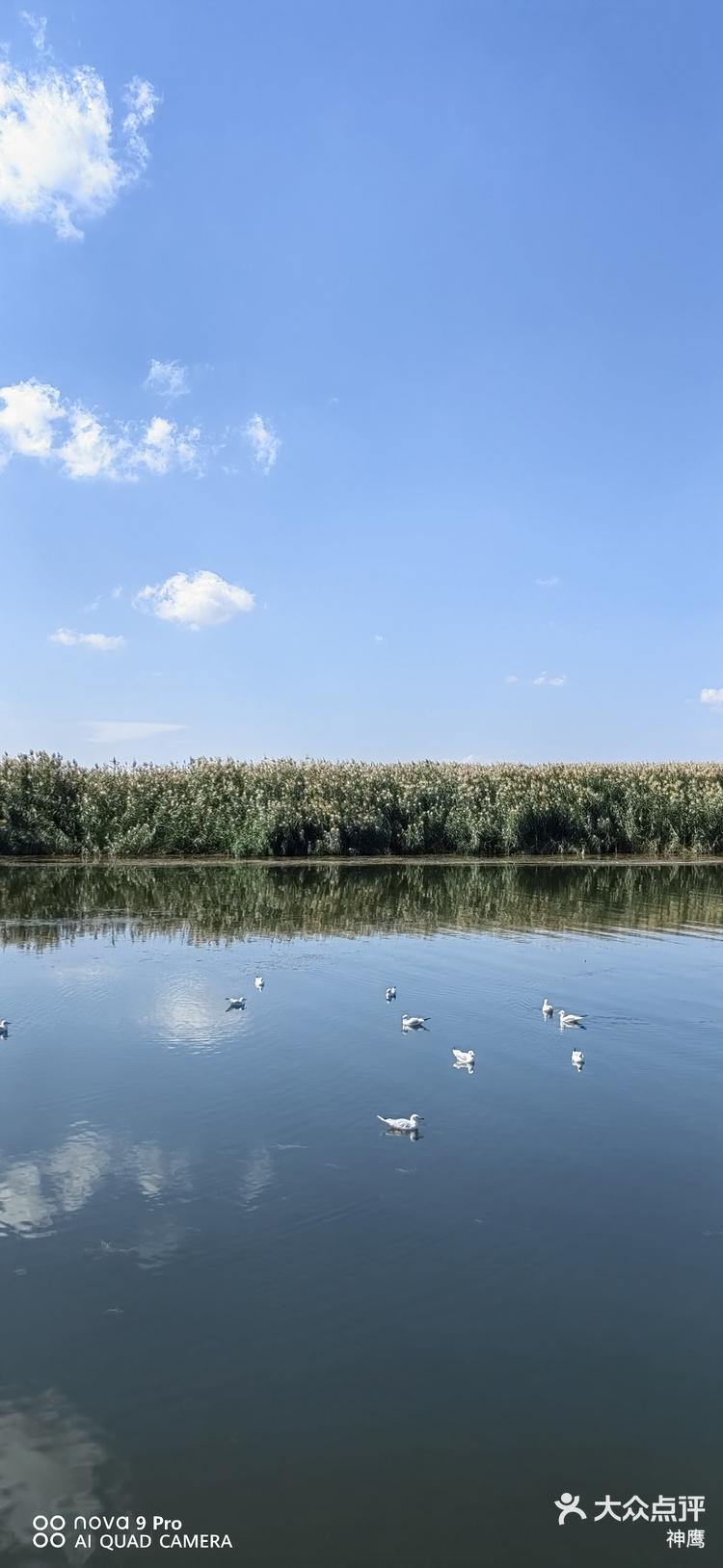 纳林湖风景图片