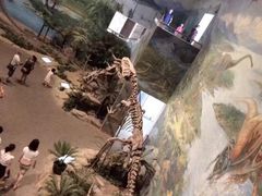 -自贡恐龙博物馆