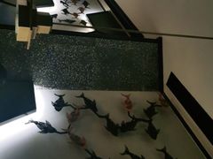 -炉鱼(萧山万象汇店)