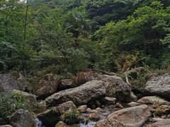 -龙窝子