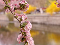 -元大都城垣遗址公园