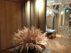 -台北北投丽禧温泉酒店