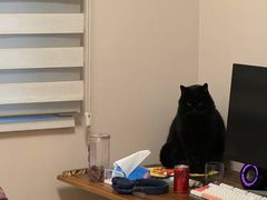 -关爱宠物医院·猫科中心·消化科(滨湖万达分院)